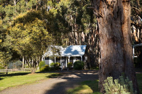 Bodhi Daylesford - Mackay Tourism 8