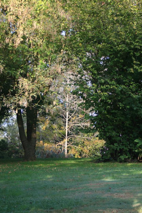 Strathmore Farm B&B - Mackay Tourism 26