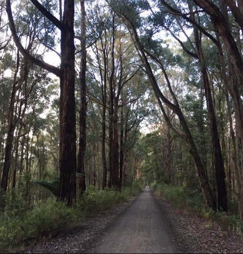 Strathmore Farm B&B - Mackay Tourism 4