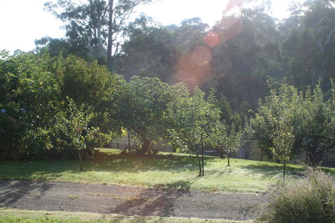 Strathmore Farm B&B - Mackay Tourism 19