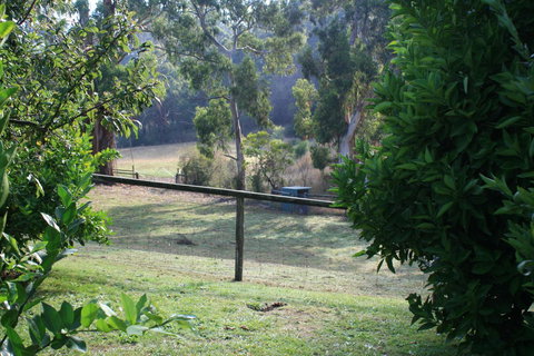 Strathmore Farm B&B - Mackay Tourism 30