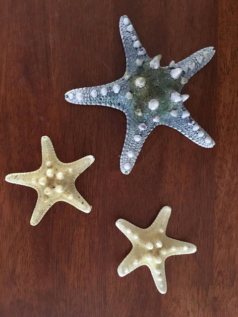 Ocean View Beach House - Mackay Tourism 2