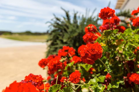 Cottages For Couples - Mackay Tourism 13