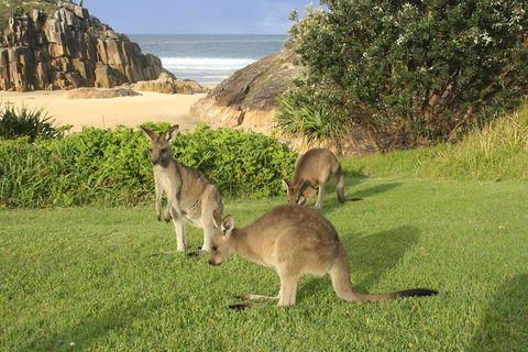 The Carrai - Mackay Tourism 2