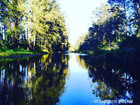 The Dairy Bales At Moo River Farm - Mackay Tourism 2