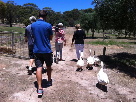 The Farm Willunga - Mackay Tourism 1