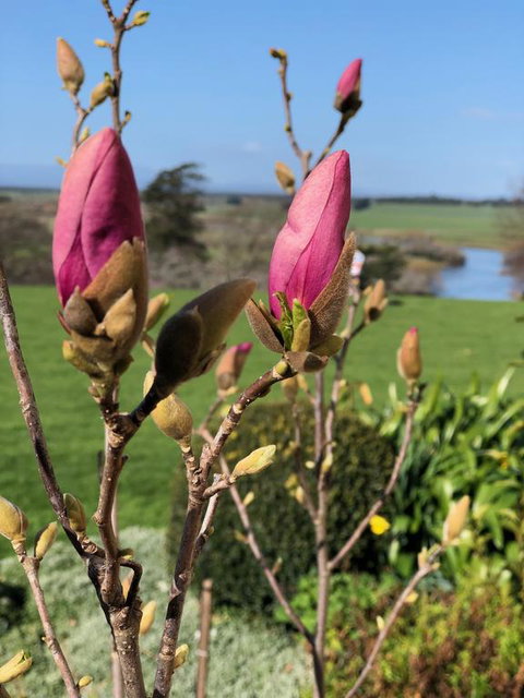 The Granary - Mackay Tourism 3