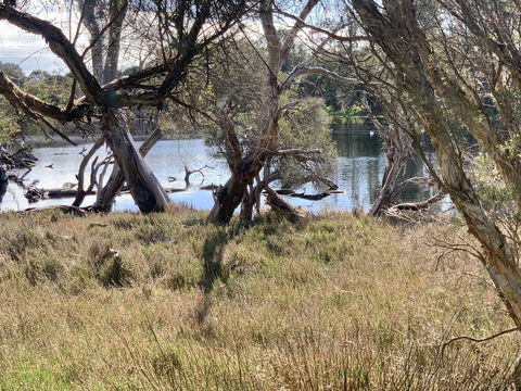 The Lake House - Mackay Tourism 0