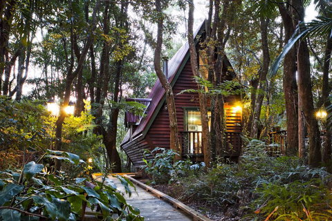 The Mouses House Rainforest Retreat - Mackay Tourism 1