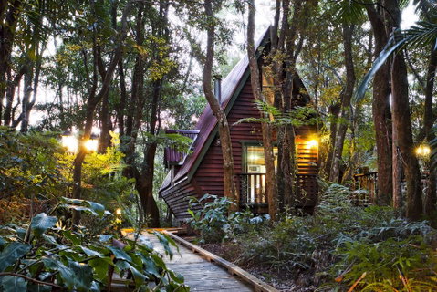 The Mouses House Rainforest Retreat - Mackay Tourism 1