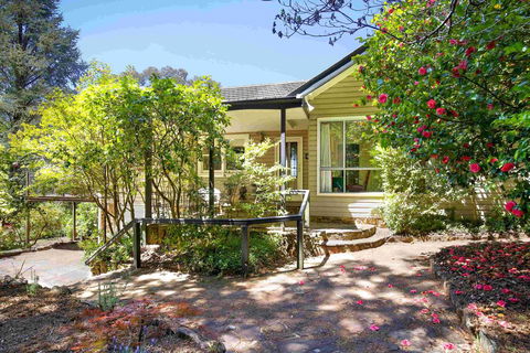 The Nineteenth - Mackay Tourism 0