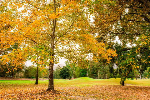 The Retreat At Wisemans - Mackay Tourism 1