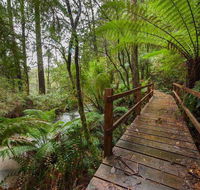 The Source Otways - Mackay Tourism