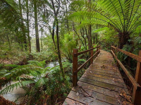The Source, Otways - Mackay Tourism 0