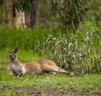 The Stirling Golf Club - Mackay Tourism