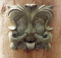 The Tree House - Mackay Tourism