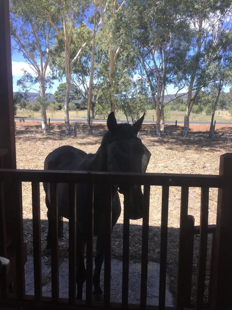 Thie My Chree Retreat - Mackay Tourism 3