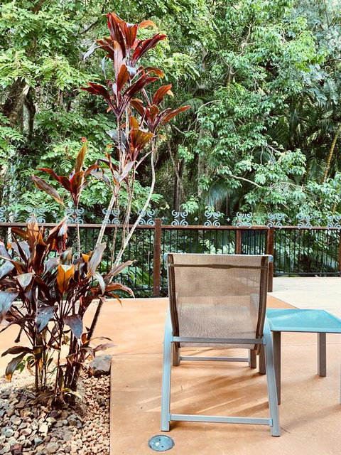 Tranquil Setting In Buderim - Mackay Tourism 3