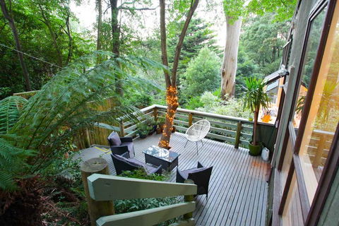 Tree Top Stay - Mackay Tourism 3