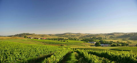 Turners Vineyard Motel - Mackay Tourism 0