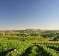 Turners Vineyard Motel - Mackay Tourism