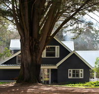 The Orchard - Mackay Tourism