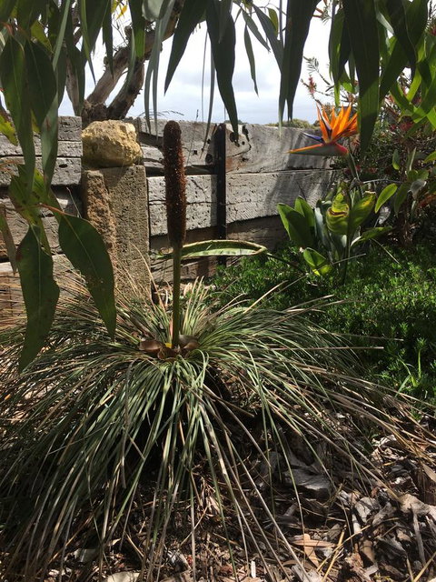 The PC Cottage - Mackay Tourism 32