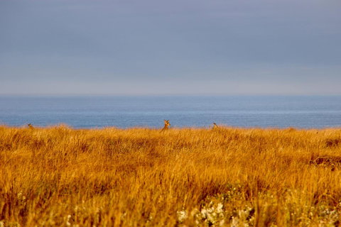 The PC Cottage - Mackay Tourism 39