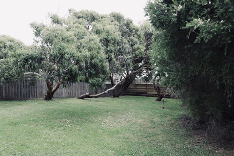 Red Ceder Cottage - Great Ocean Road - Port Campbell - Mackay Tourism 24