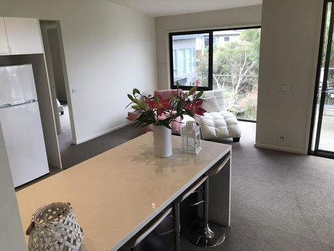 Lorne Sea View Terrace House - Mackay Tourism 43