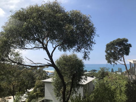 Lorne Sea View Terrace House - Mackay Tourism 26