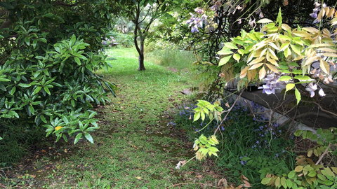 Lorelei Bed & Breakfast - Mackay Tourism 10