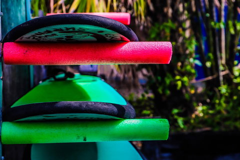 Cool Bananas Backpackers - Mackay Tourism 39