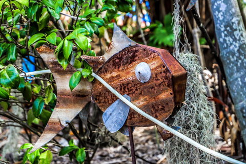 Cool Bananas Backpackers - Mackay Tourism 24