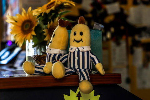 Cool Bananas Backpackers - Mackay Tourism 30