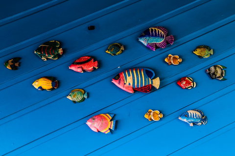 Cool Bananas Backpackers - Mackay Tourism 20