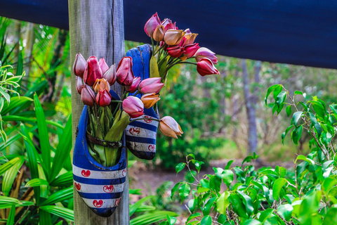 Cool Bananas Backpackers - Mackay Tourism 26