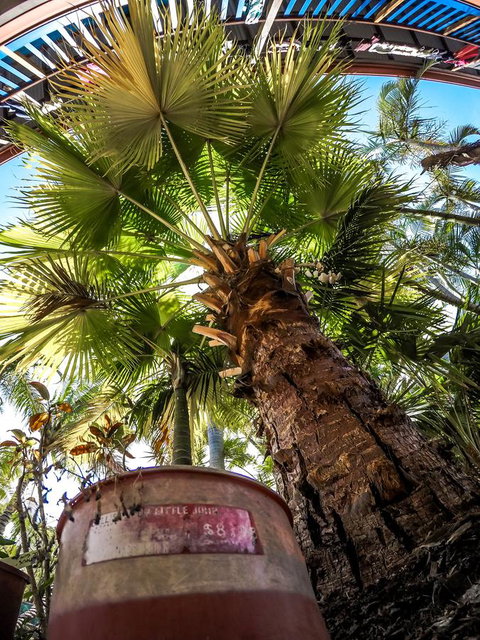 Cool Bananas Backpackers - Mackay Tourism 14