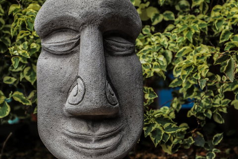 Cool Bananas Backpackers - Mackay Tourism 23