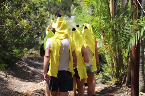 Cool Bananas Backpackers - Mackay Tourism 19