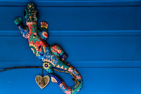 Cool Bananas Backpackers - Mackay Tourism 21