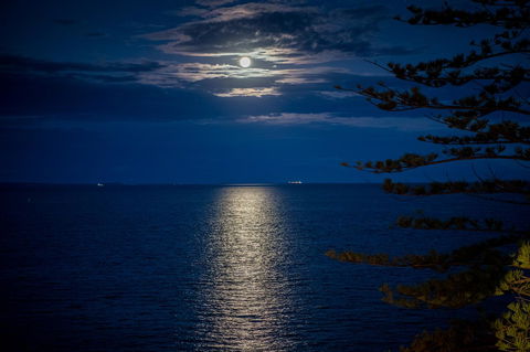 The Sebel Brisbane Margate Beach - Mackay Tourism 10