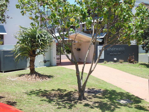 Whale Watch Ocean Beach Resort - Mackay Tourism 14