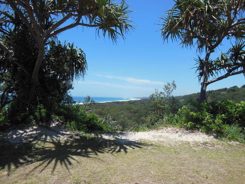 Whale Watch Ocean Beach Resort - Mackay Tourism 3