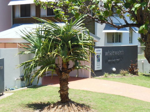Whale Watch Ocean Beach Resort - Mackay Tourism 15