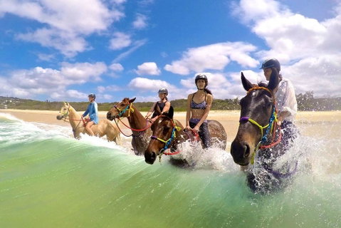 Salty Vibes Retreat - Mackay Tourism 6