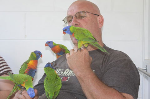 Amaroo On Mandalay, Magnetic Island - Mackay Tourism 33
