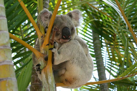 Amaroo On Mandalay, Magnetic Island - Mackay Tourism 44