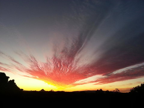 Ivory Palms Resort Noosa - Mackay Tourism 13