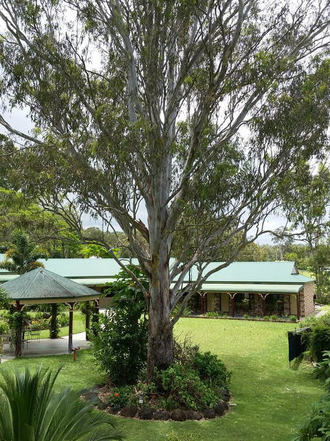 The Bearded Dragon Boutique Hotel - Mackay Tourism 32